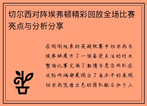 切尔西对阵埃弗顿精彩回放全场比赛亮点与分析分享