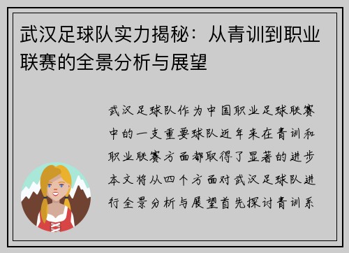 武汉足球队实力揭秘：从青训到职业联赛的全景分析与展望